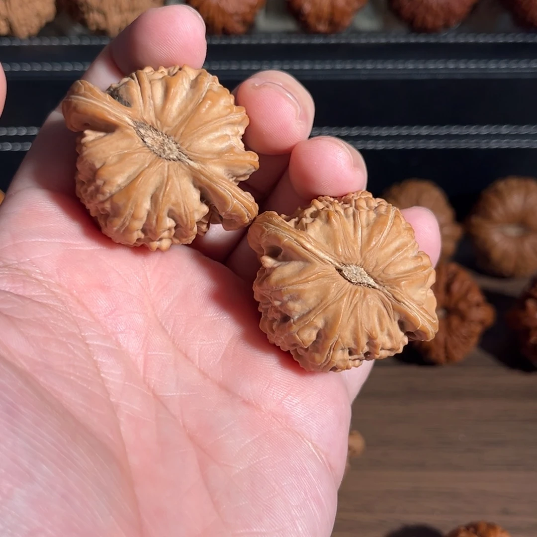 手串/手链核桃达****?44全品白狮子