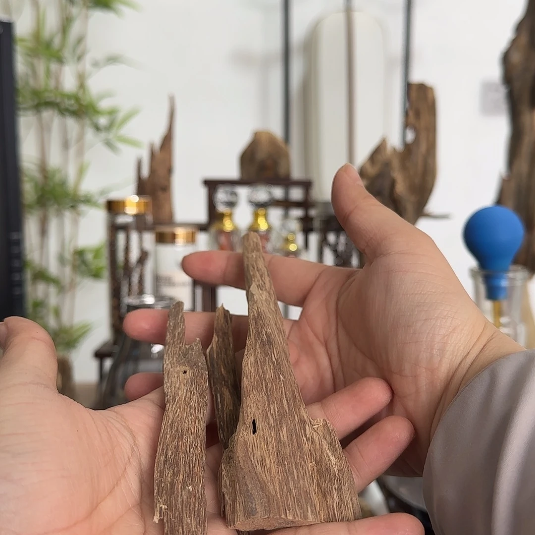 沉香沉香碎屑国香虫漏17克+