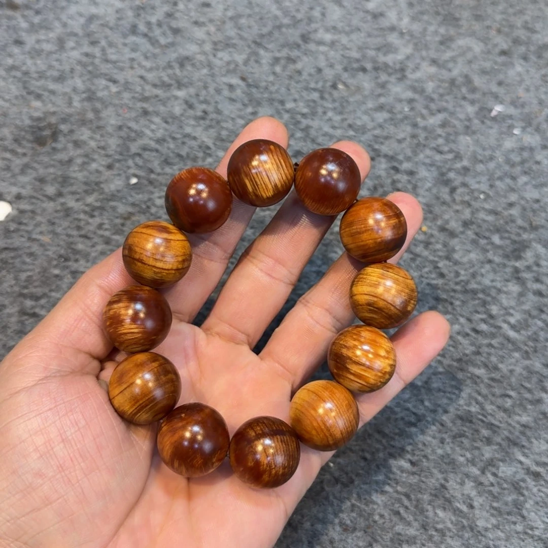 柏木（崖柏）崖柏1111111