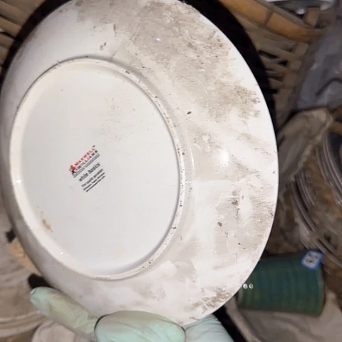 瓷片国营厂库存20.5厘米