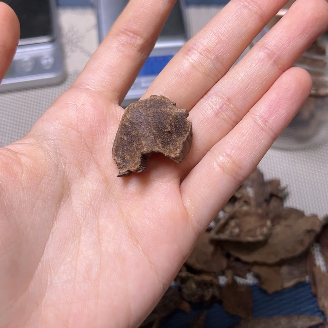 霹***旋香料海南尖峰岭沉水老包头0.8克