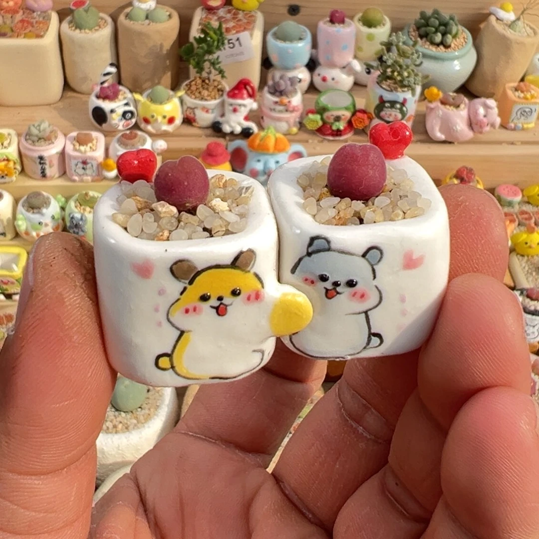 多肉植物15号一对