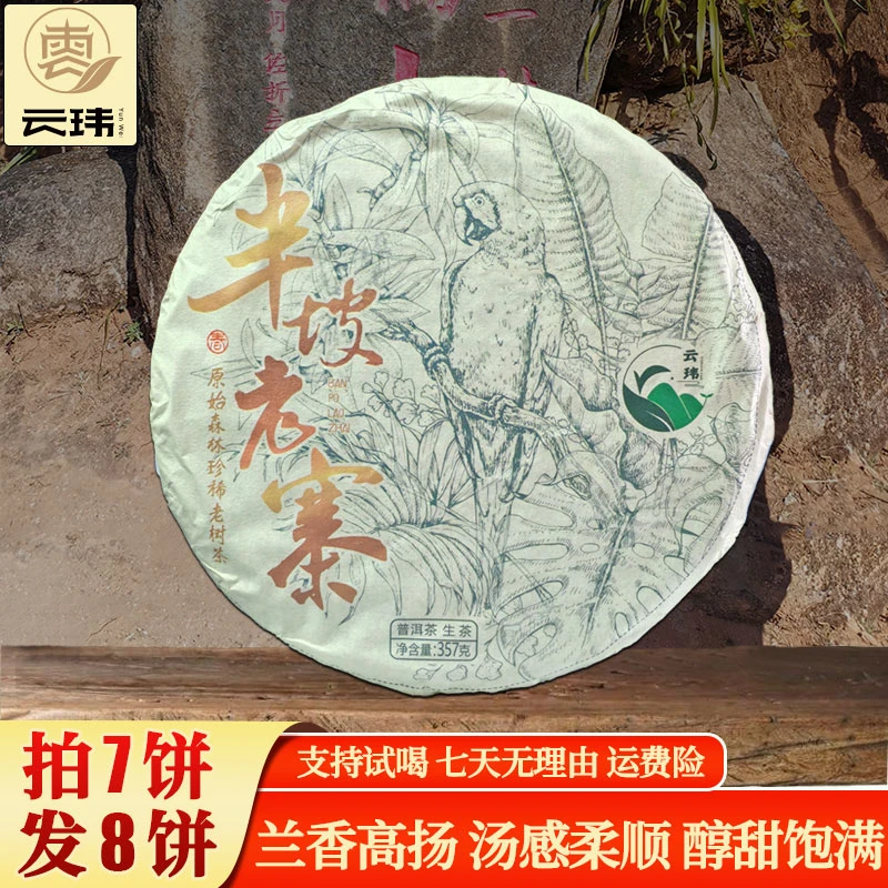 云玮2019半坡老寨古树纯料头春 普洱茶生茶357克饼茶