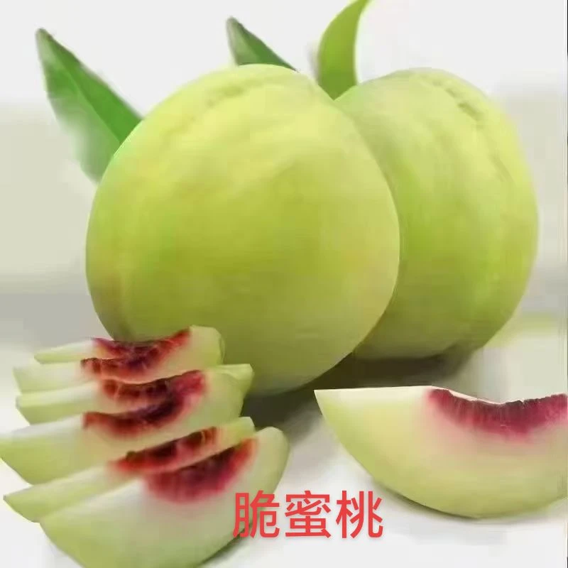 脆蜜桃新鲜采摘脆甜不软