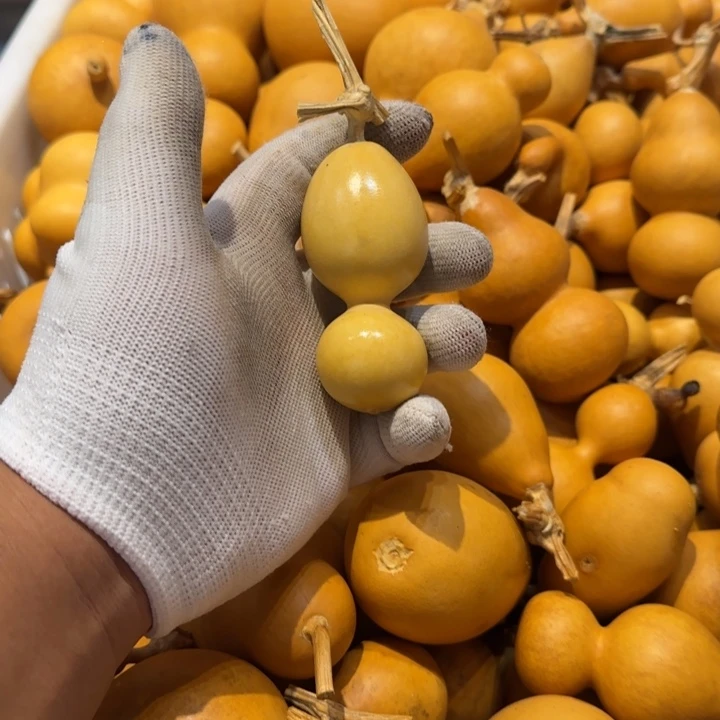 孔**?哈哈哈哈哈哈哈哈哈哈哈哈