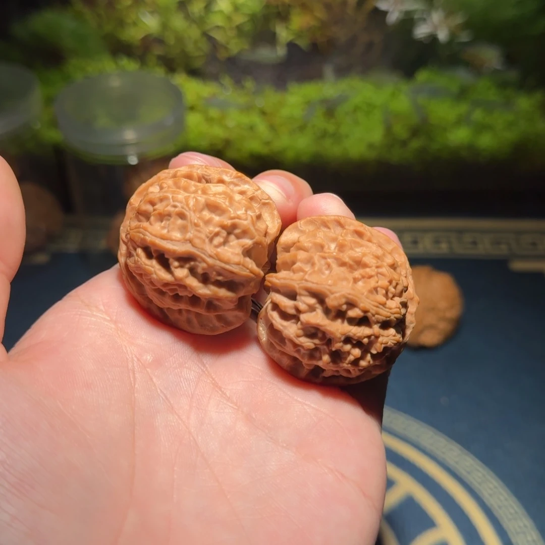 呱****嘎416号39苹果园苹果园苹果园