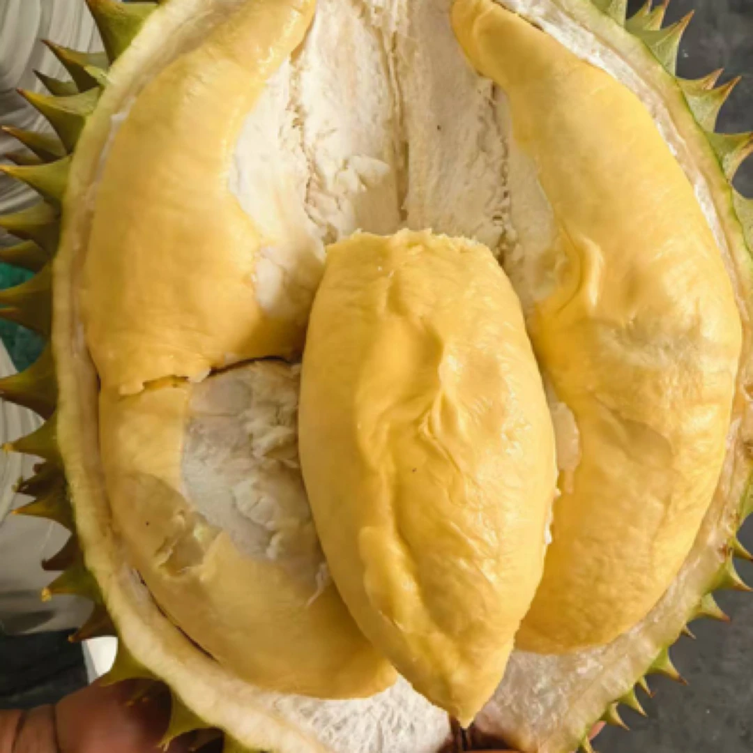 【汉阳店专场】泰国金枕榴莲新鲜现剥果肉核小1-1.1斤纯果肉榴莲同城送金枕泰国