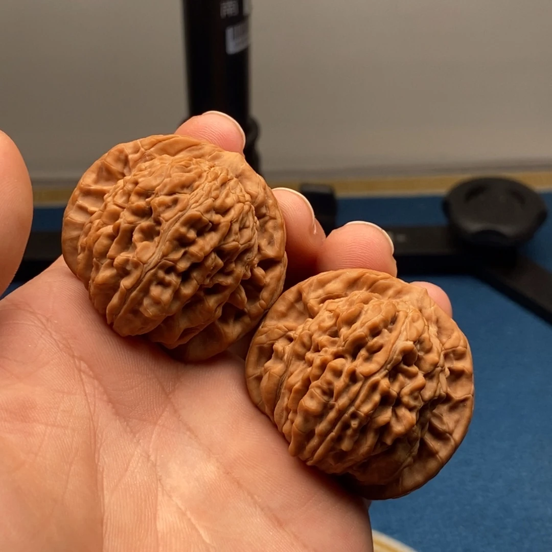 好***见核桃蓟县楼王毕业了