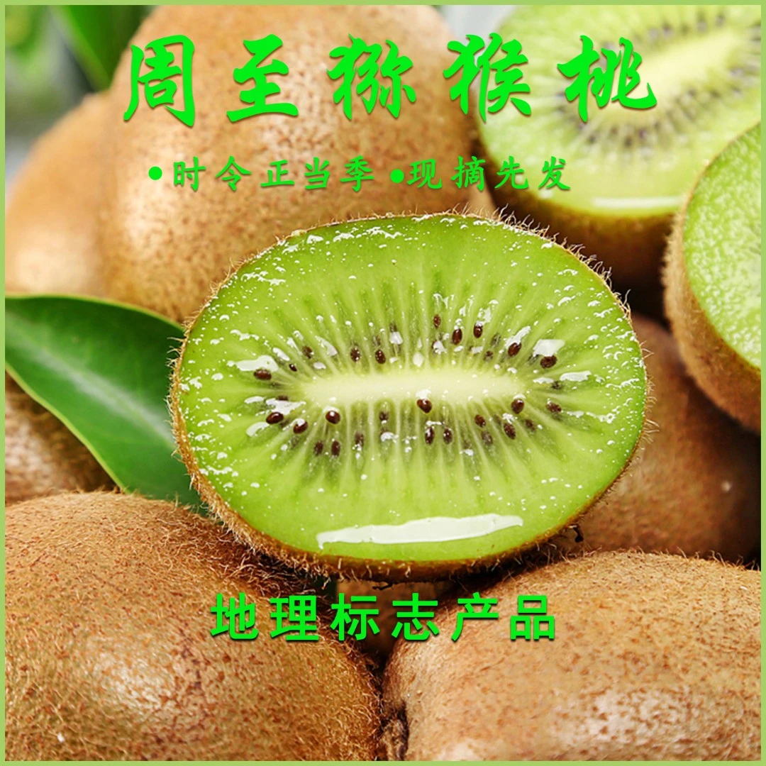 陕西产地直发新鲜翠香猕猴桃奇异果多汁 包邮 坏果包赔 现摘现发