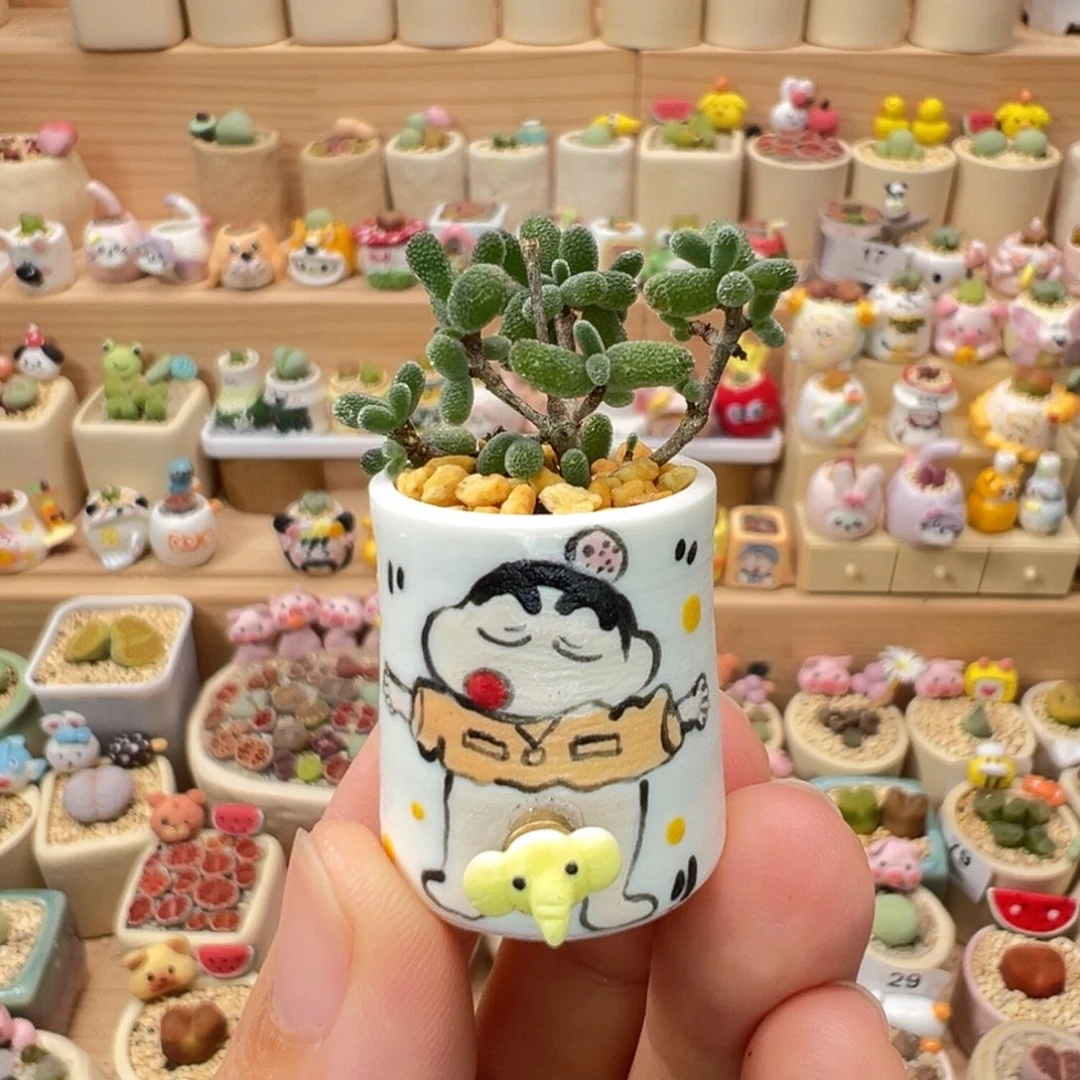 多肉植物88号枝干