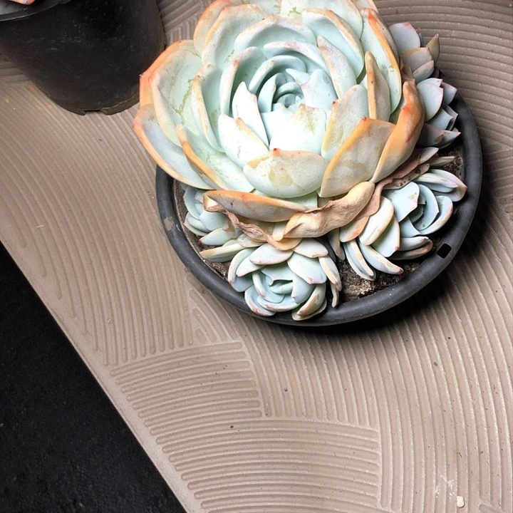 云*79/////////////////