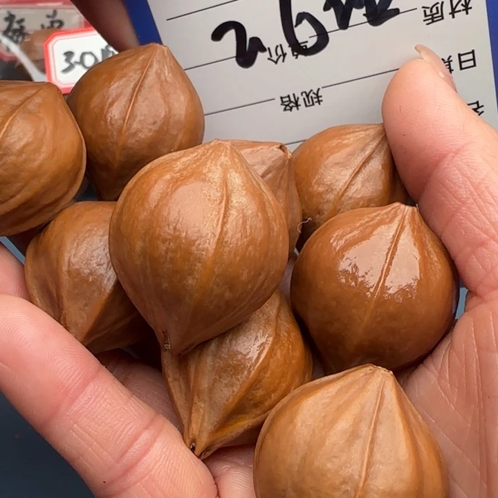 顺****手串橄榄核橄榄核