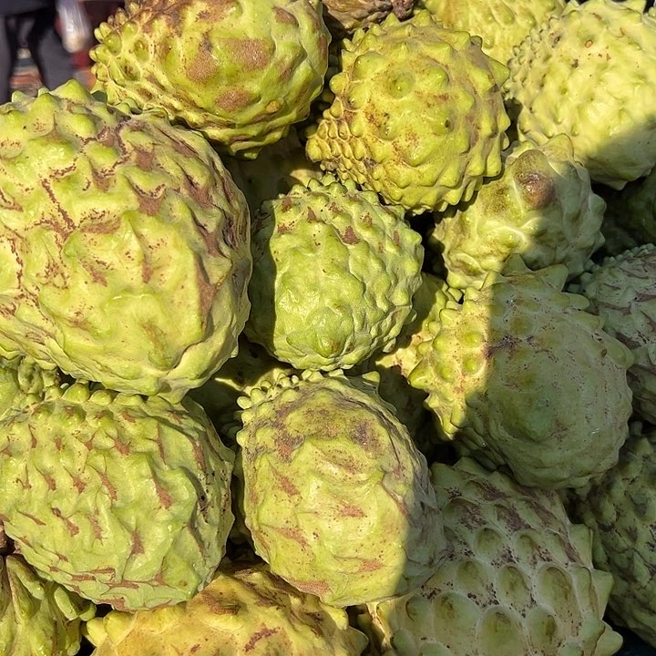 中国大陆释迦果5斤