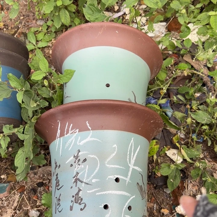紫砂花盆紫砂的颜色