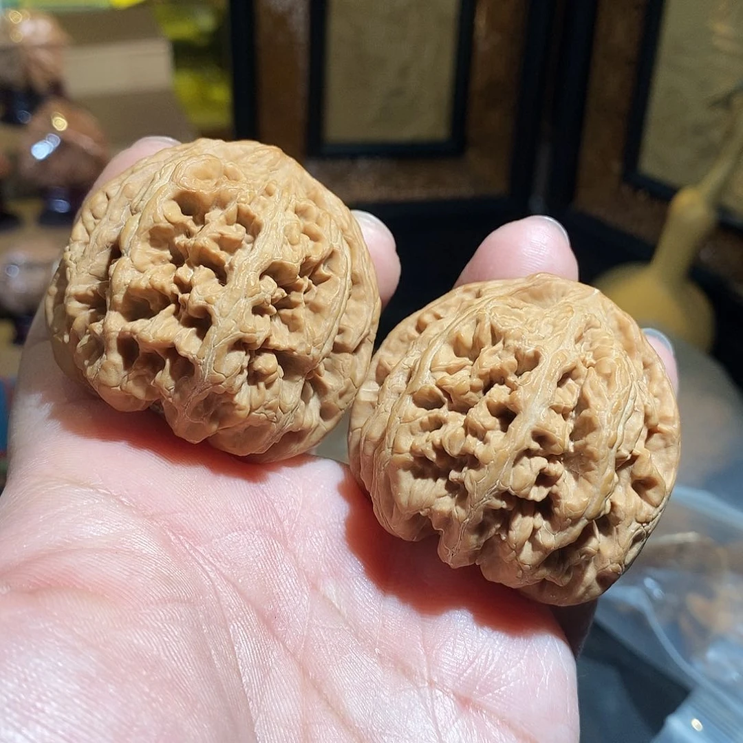 文玩核桃把件47.5大粗筋全品