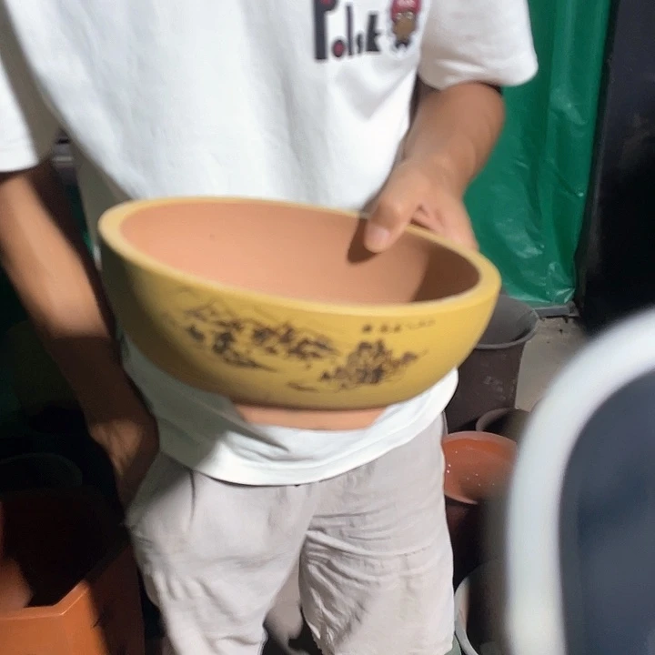 花盆花盆花盆花盆花盆