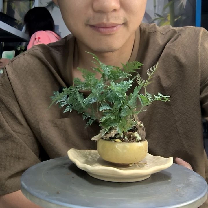 Z中青园艺一物一拍283