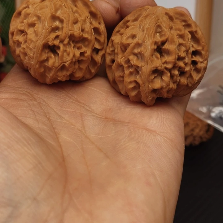 核桃苹果园 全品无修的