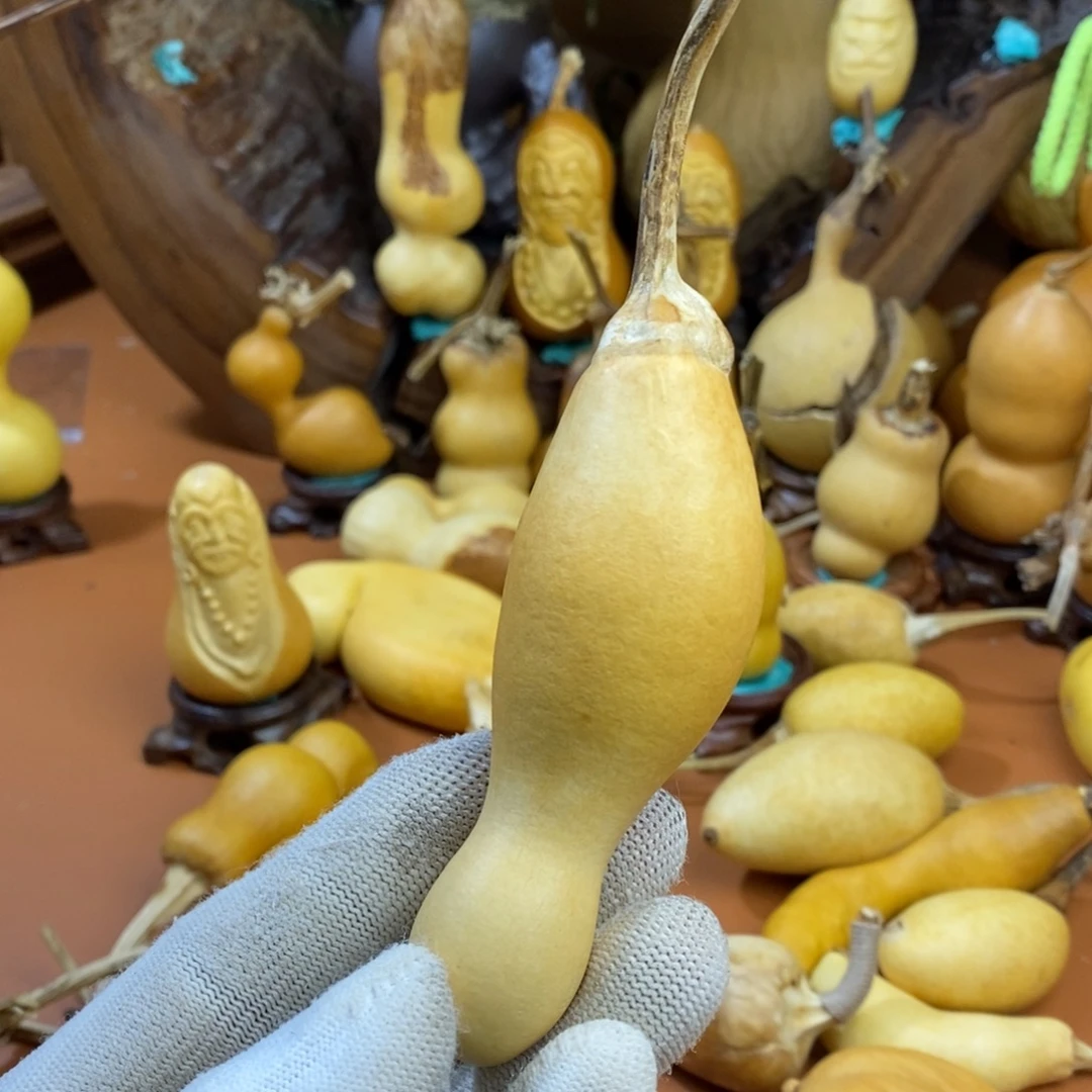 人***0教练咯路途考虑教练咯