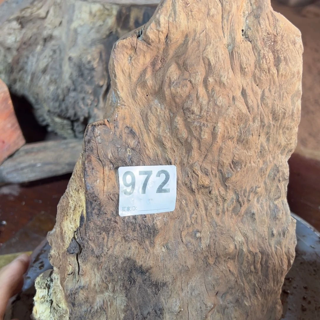 大果紫檀（缅甸花梨）