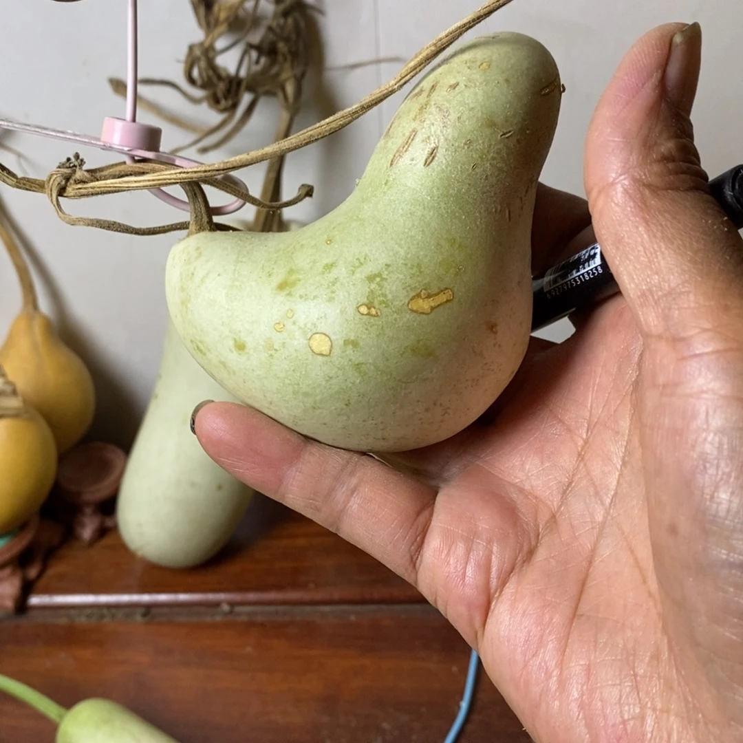 5***z青皮腰子葫芦手把件摆件