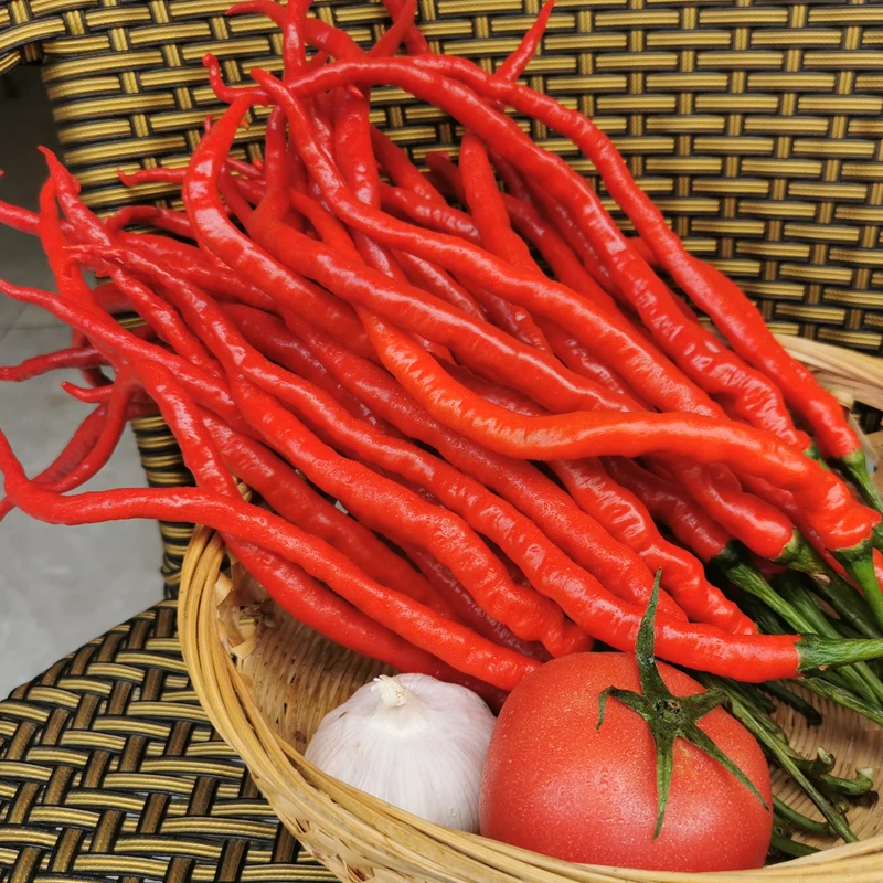 【红辣椒】新鲜皱椒新辣子鸡爪辣线椒农村初级农产品五斤包邮