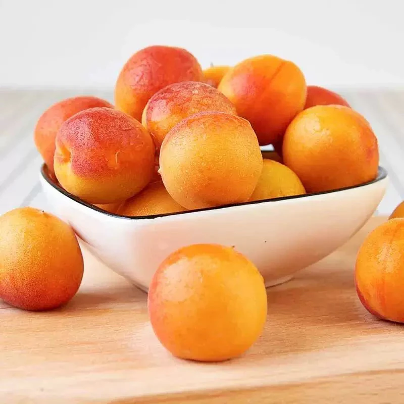 （沈阳发货）新疆吊干杏 3-3.5斤 顺丰包邮