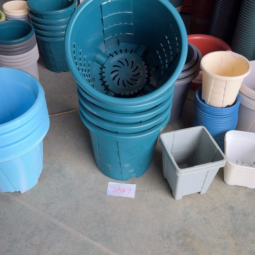 编号2547编号2547