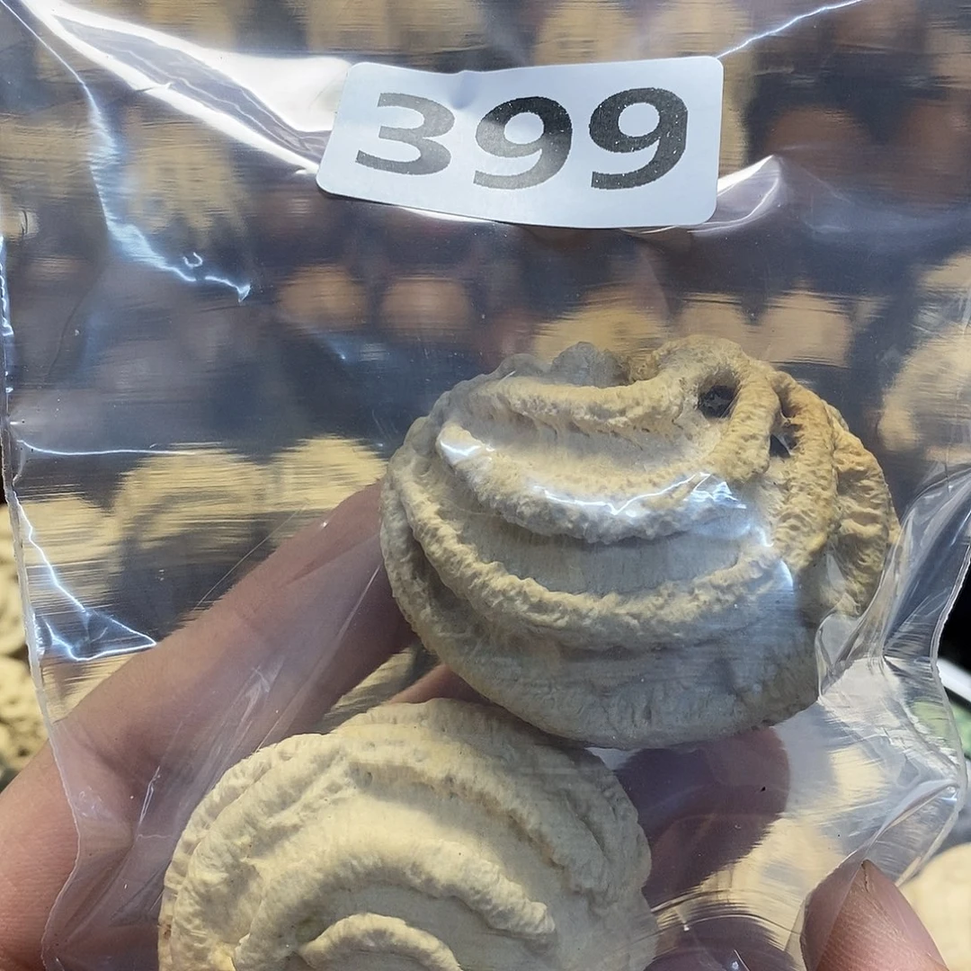 橄榄核吊坠圆*文化交流