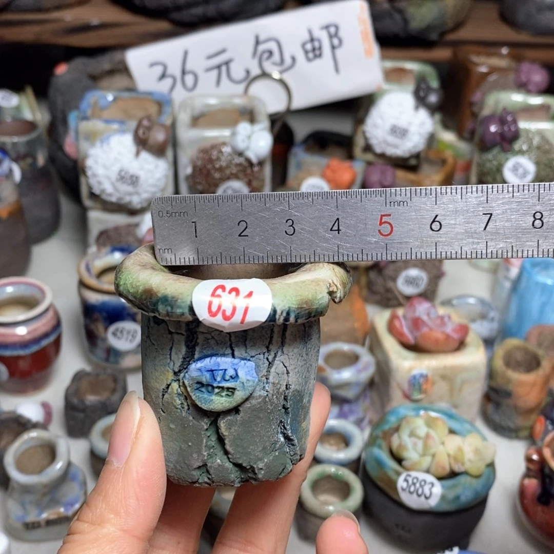 拍3送一个小礼物