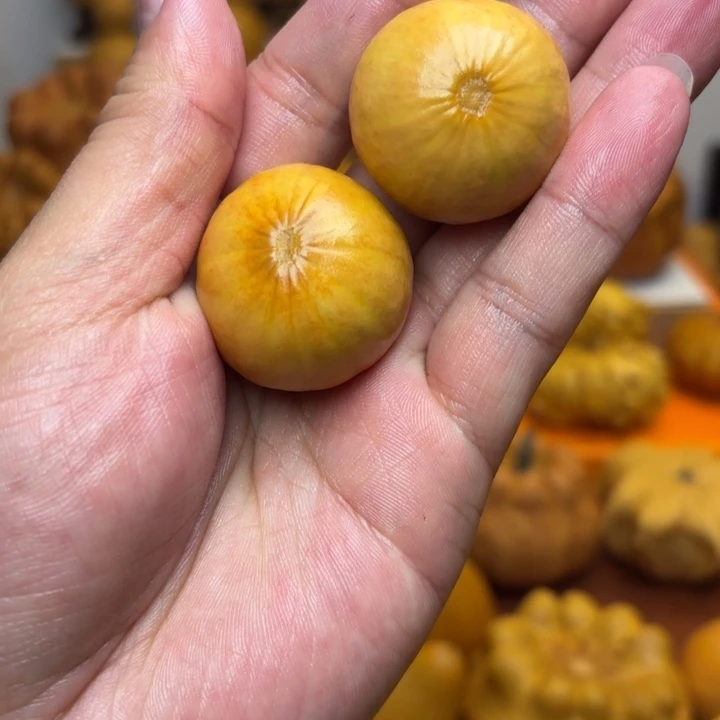 3.1尺寸特价福利不退不换