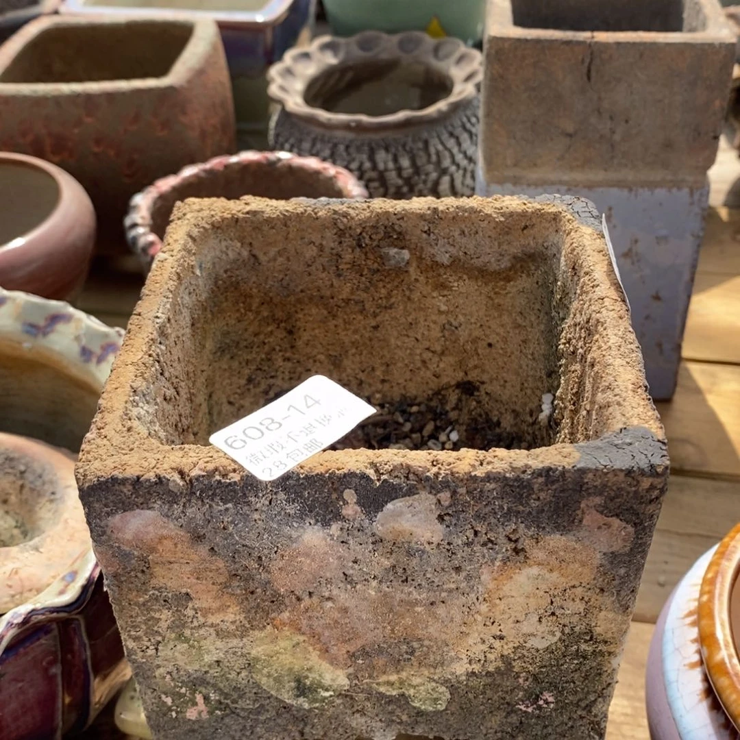 14号多肉盆口径10