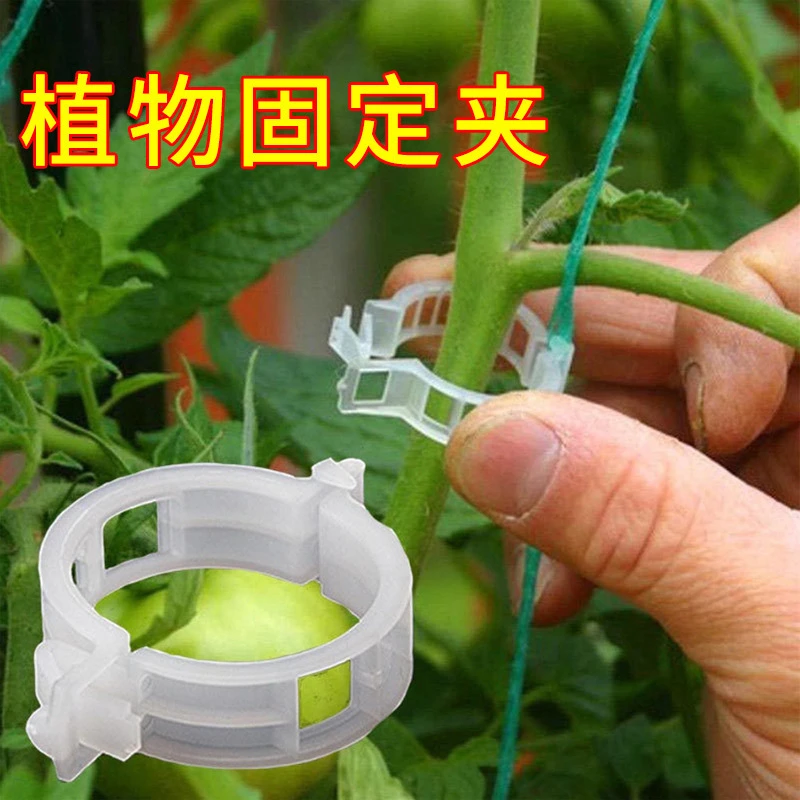 【新疆包邮】植物瓜果植物夹塑料绑蔓夹绑枝夹吊蔓夹扶蔓夹西红柿夹