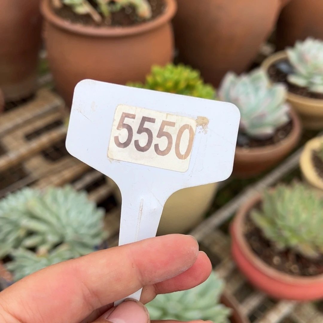 【闪购商品】用****45550。 111111111