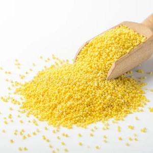 山地小米好喝不贵