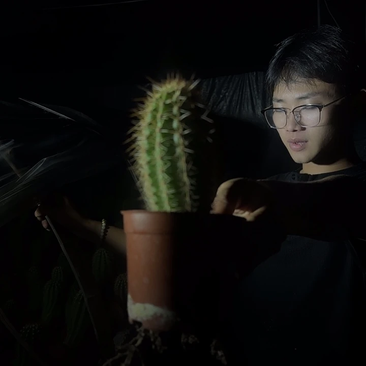 无花朵一**~哈哈哈哈哈哈哈哈