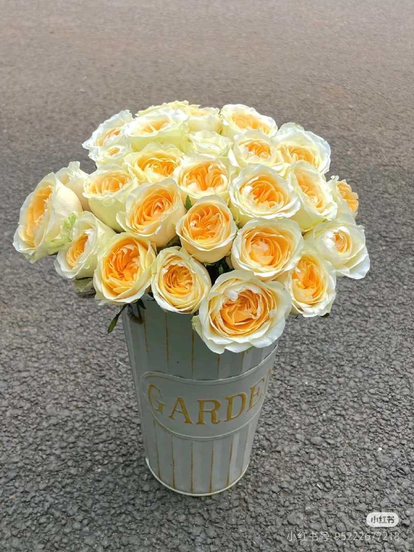 【新疆包邮】奶油杯玫瑰10支（8支送2支售后）