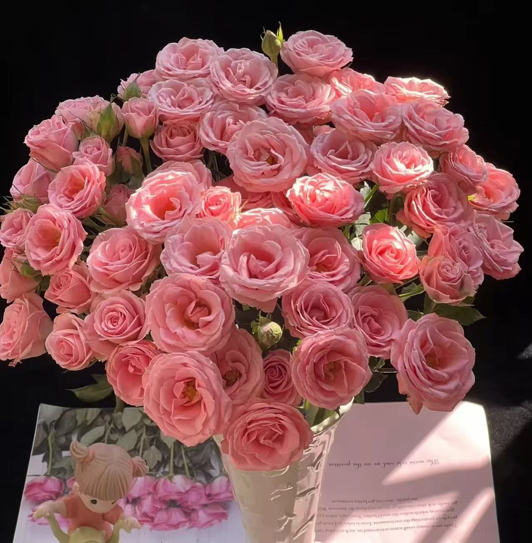 【露露公主AK】10支多头玫瑰  | 全场任意满两单鲜花包邮