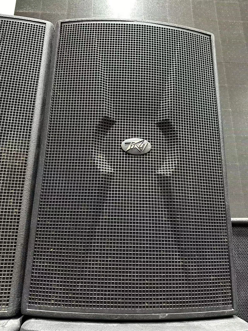 百威型号CK35专业15寸后导向音响