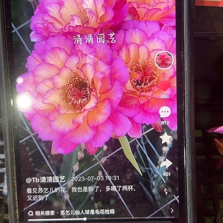 苏乞儿侧牙侧牙侧牙