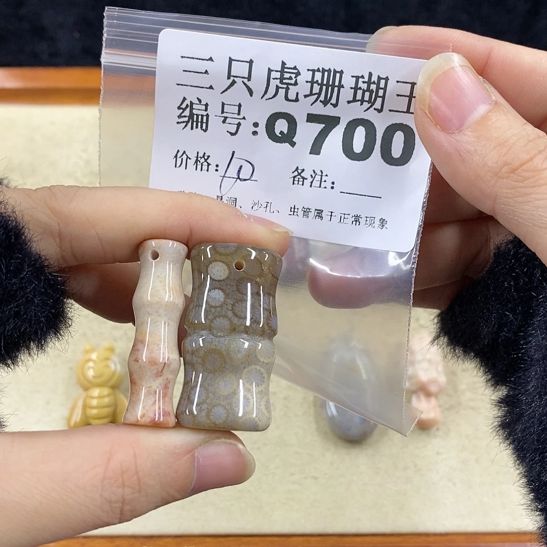 硅化珊瑚（珊瑚玉）1未镶嵌豆***王