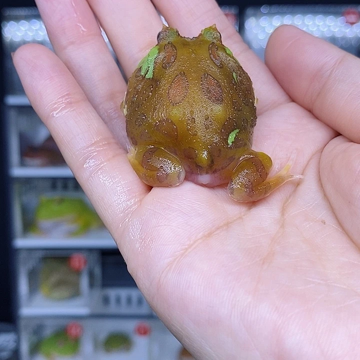 特价秒杀现货特价