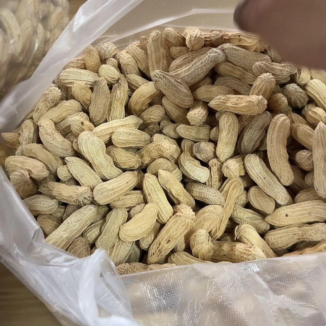 紫***怡云南南华野生菌中国大陆