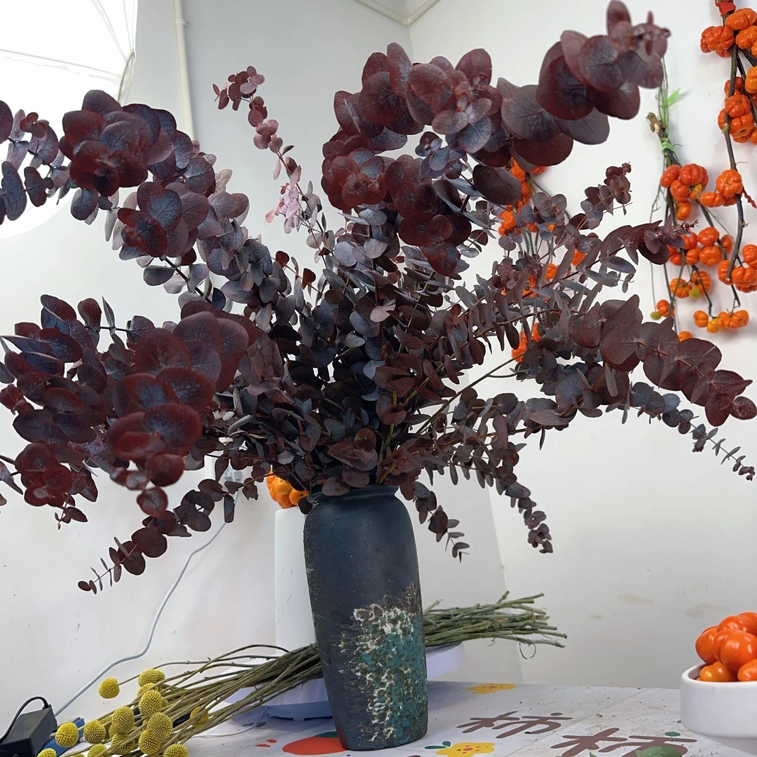 尤加利叶 轻奢 氛围感 小众花材 云南基地直发