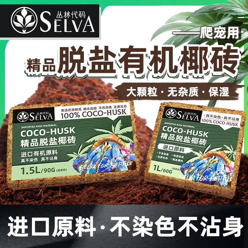 椰土中的爱马仕养蟹必备寄居蟹