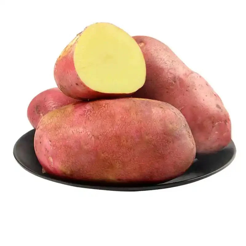 农家红皮黄心小土豆