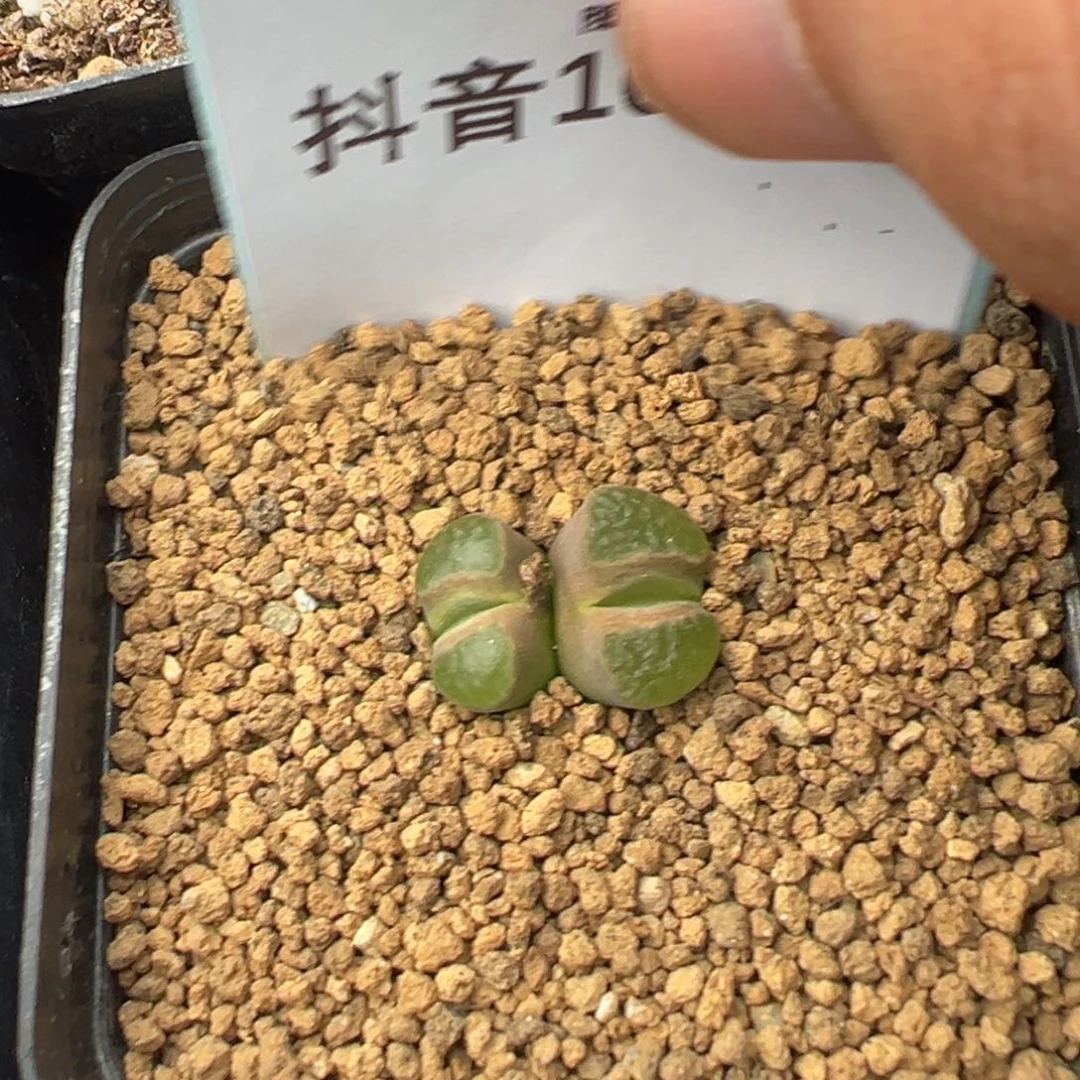 10-33雪花磁铁风铃