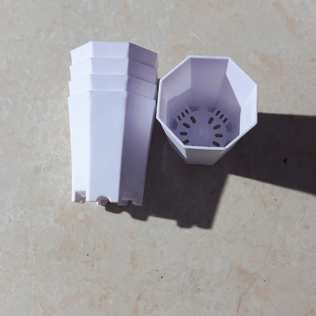 塑料加厚口7八角白色盆60个无托