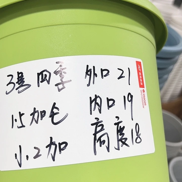 特价3号四季口21高18果绿无托10只