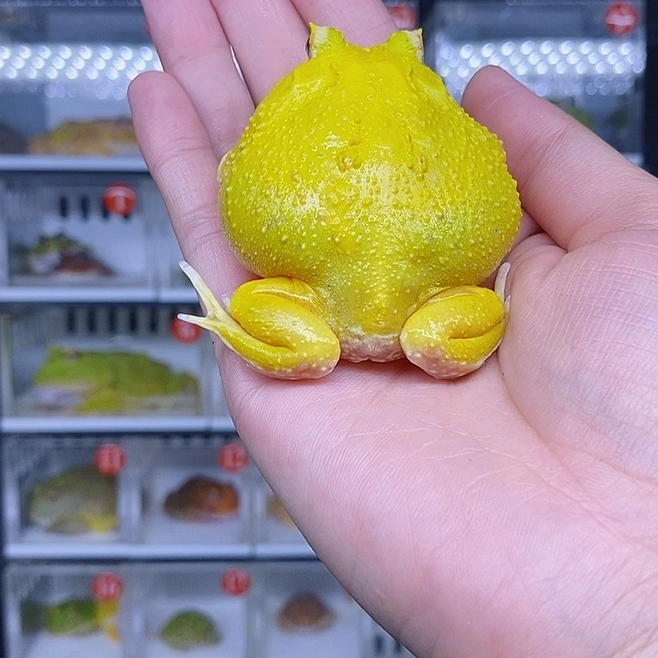 特价秒杀现货特价